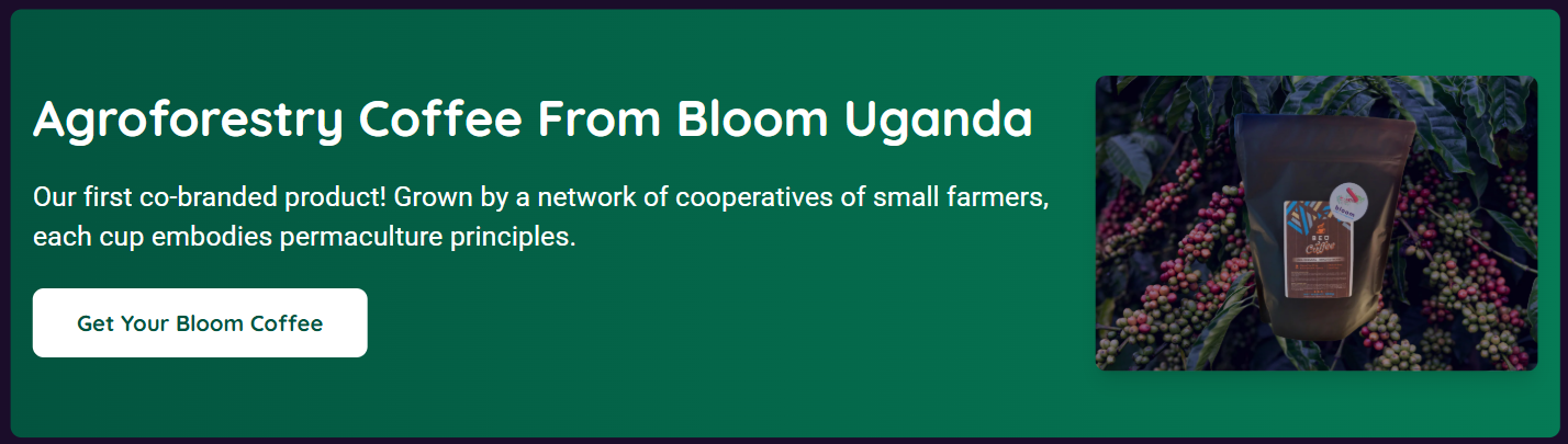 Bloom Conscious Marketplace