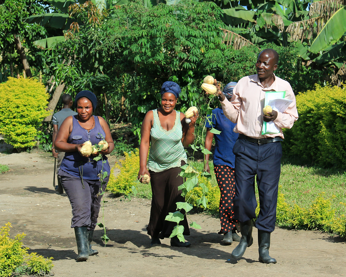Person walking in garden